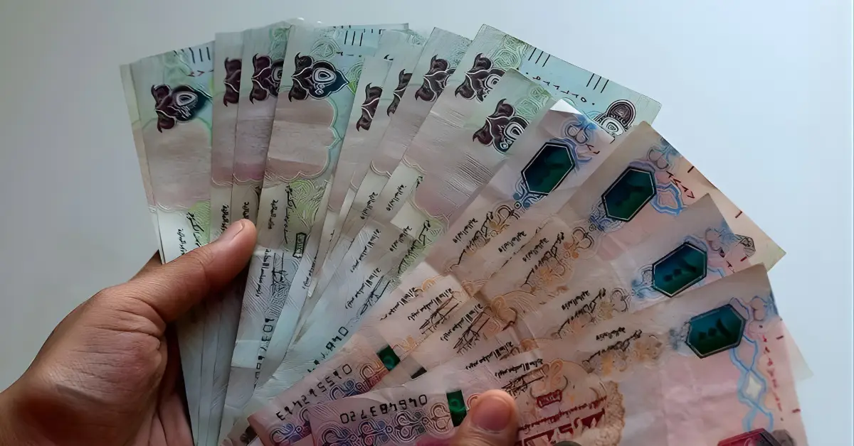 GenZone enhances its Dubai business setup by adding a US LLC for better payment processing and USD fund management.