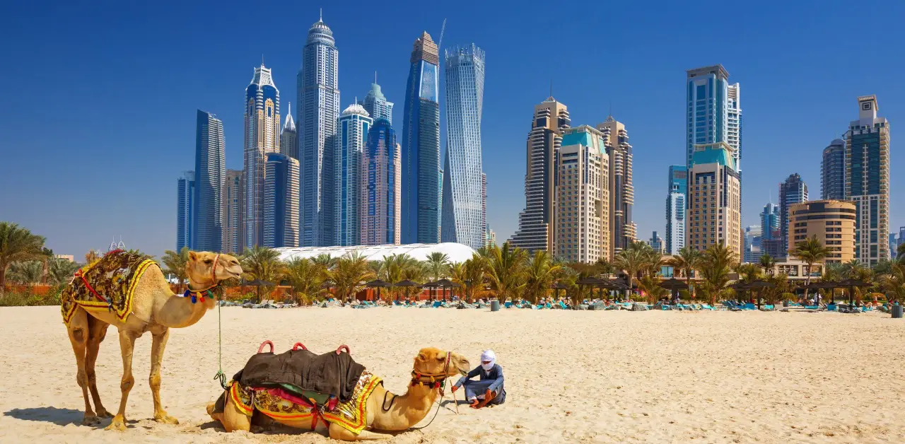 Dubai real-estate prices likely to rise 5-10% annually to 2028, driven by strong demand, foreign investment and major infrastructure builds.