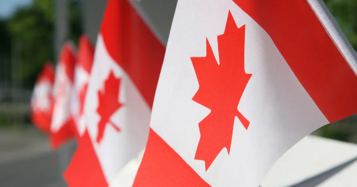 Canadian flags symbolizing entrepreneurs relocating from Canada to Dubai for business setup opportunities.